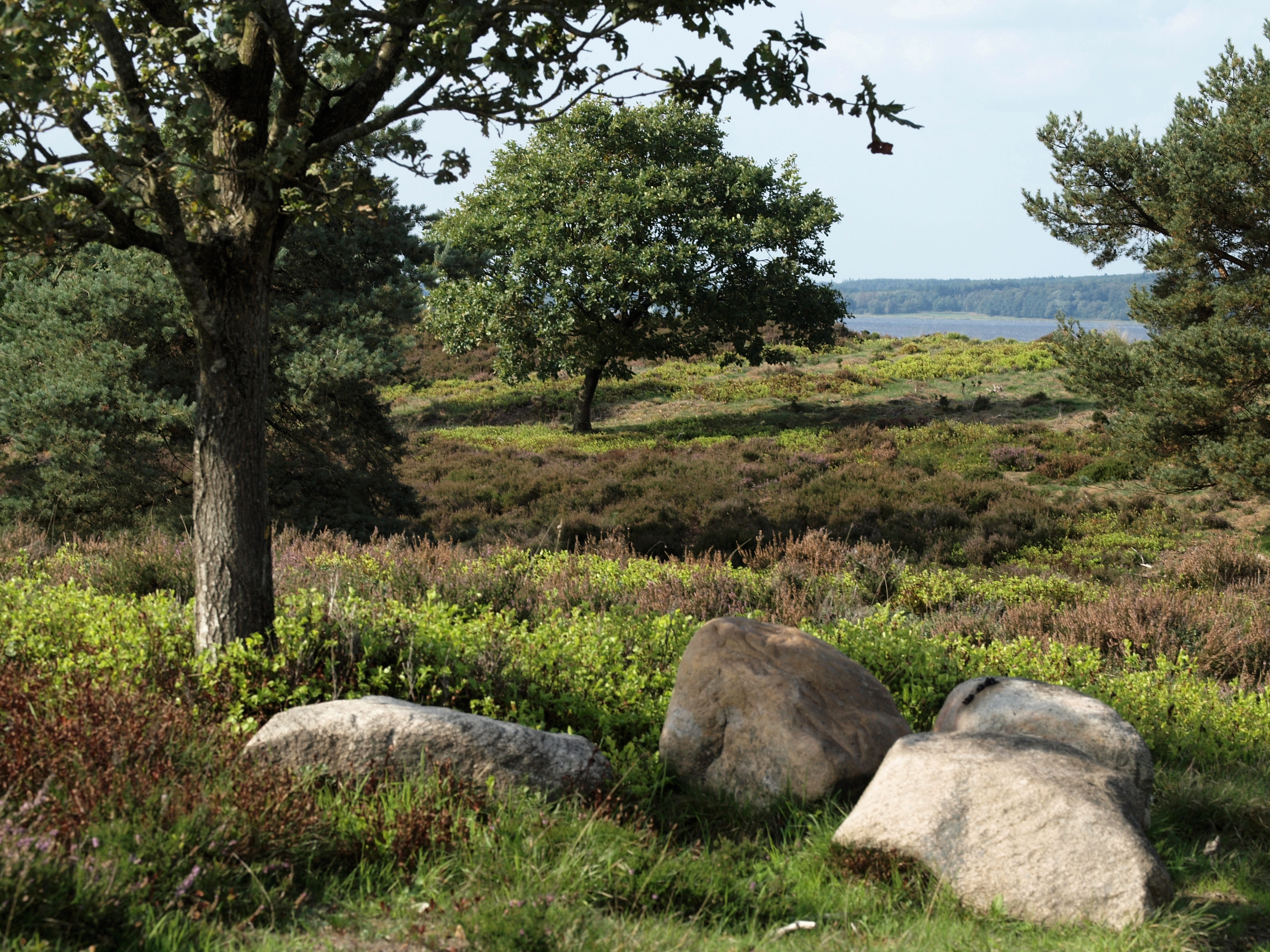 Efterår ved Bøllingsø