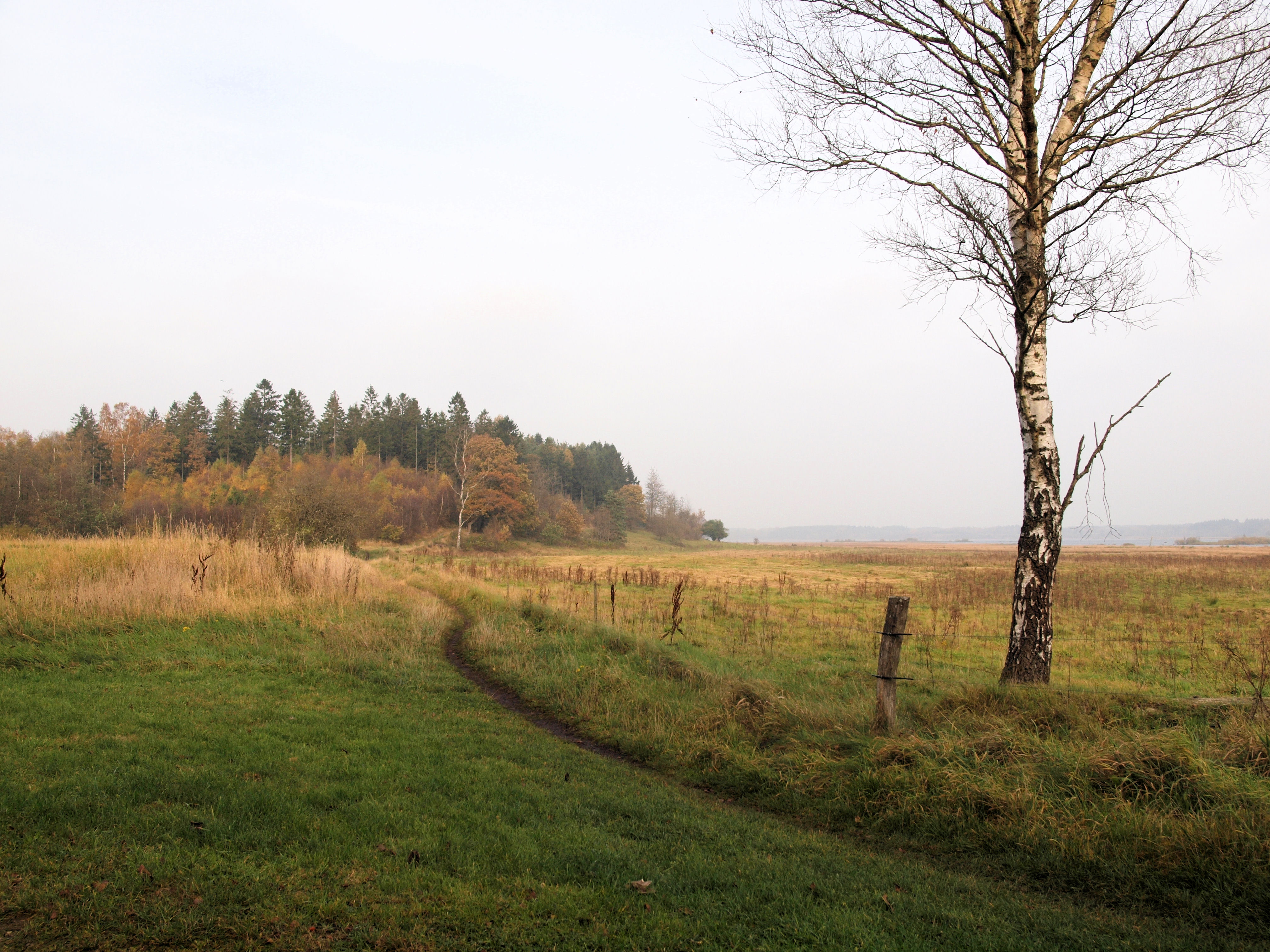 Efterår ved Bøllingsø