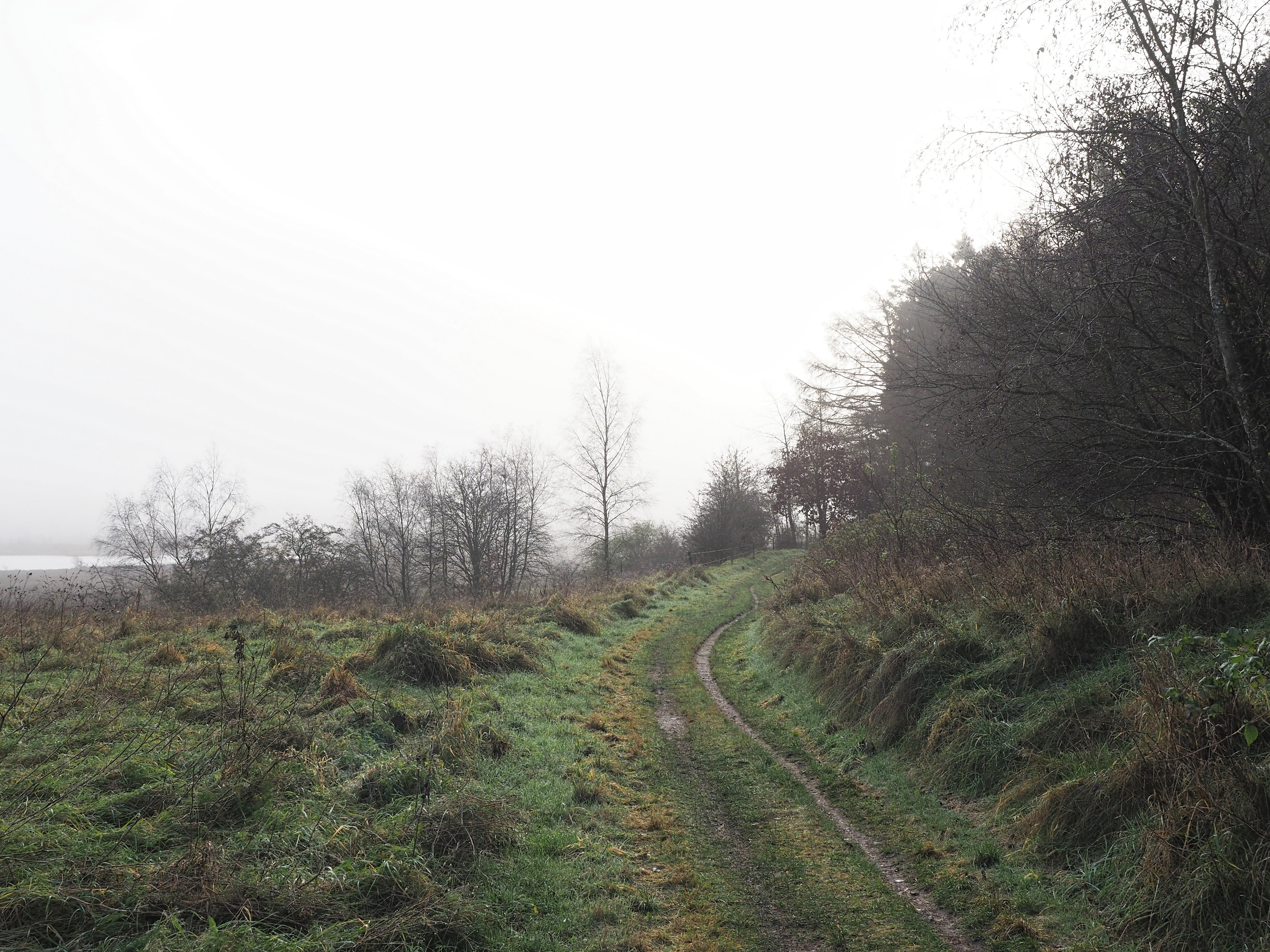 Vinter ved Bøllingsø