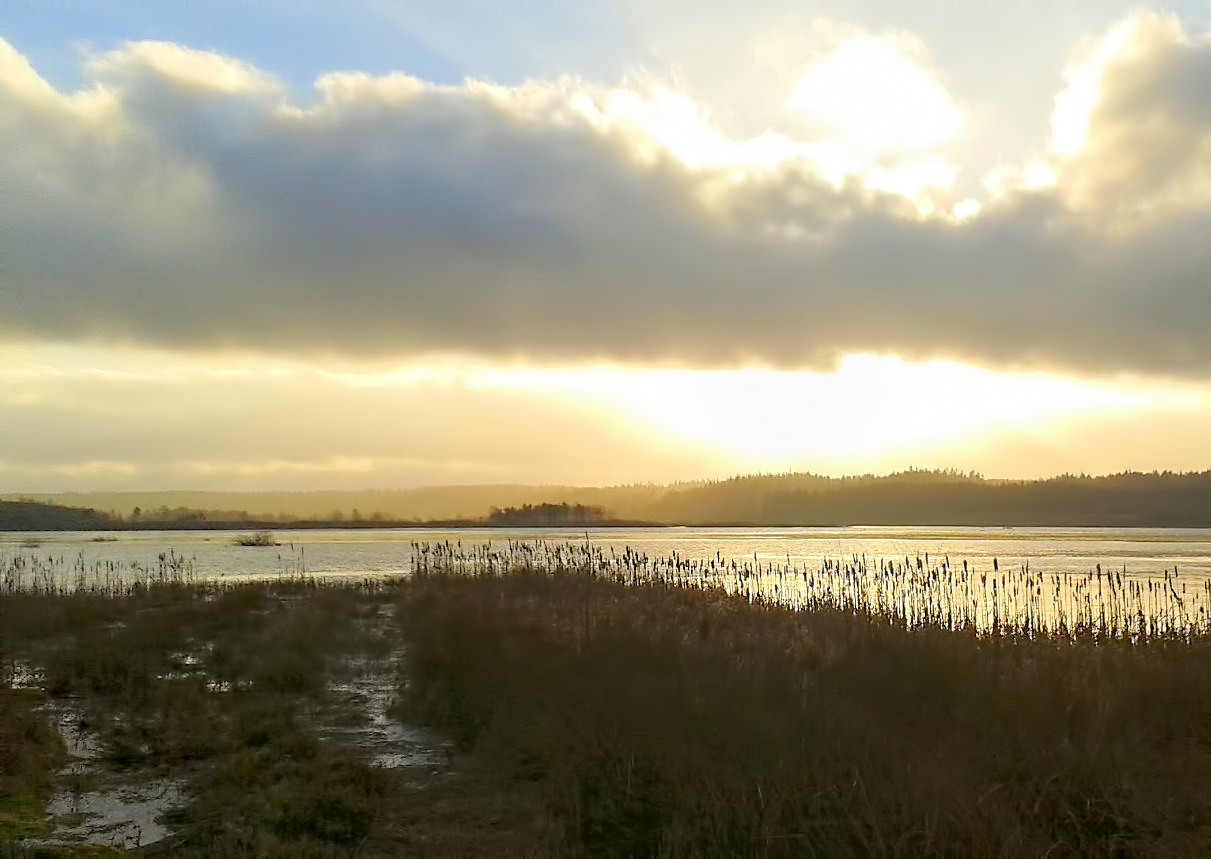 Vinter ved Bøllingsø