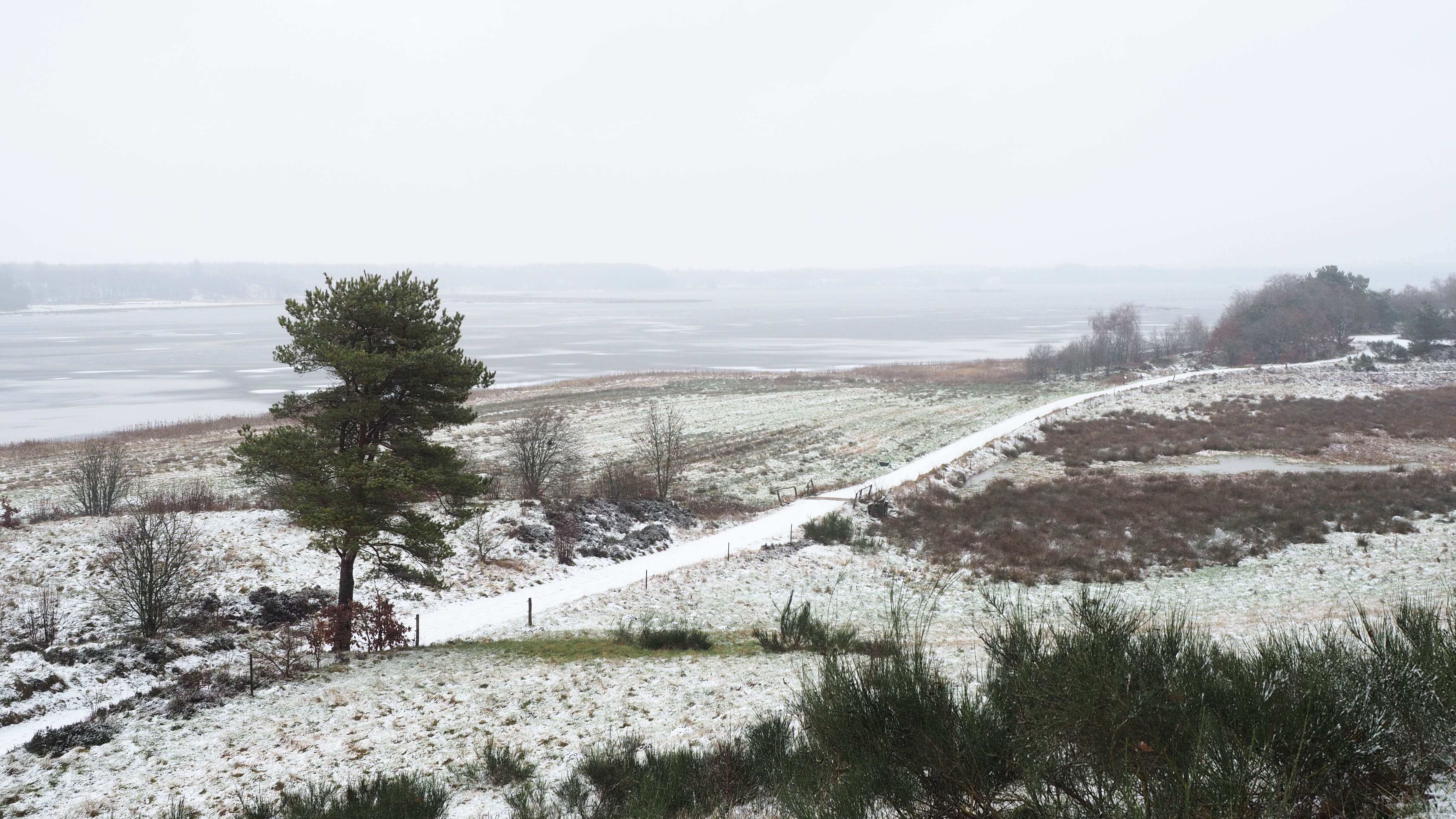 Vinter ved Bøllingsø