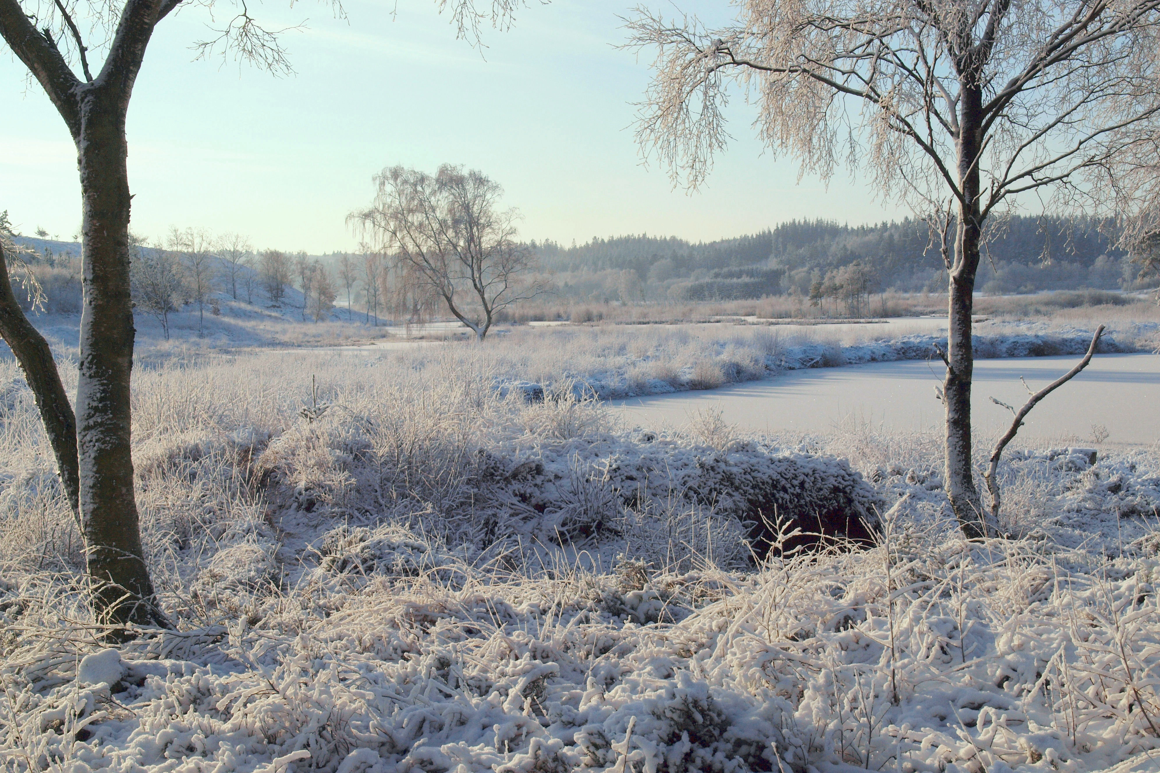 Vinter ved Bøllingsø