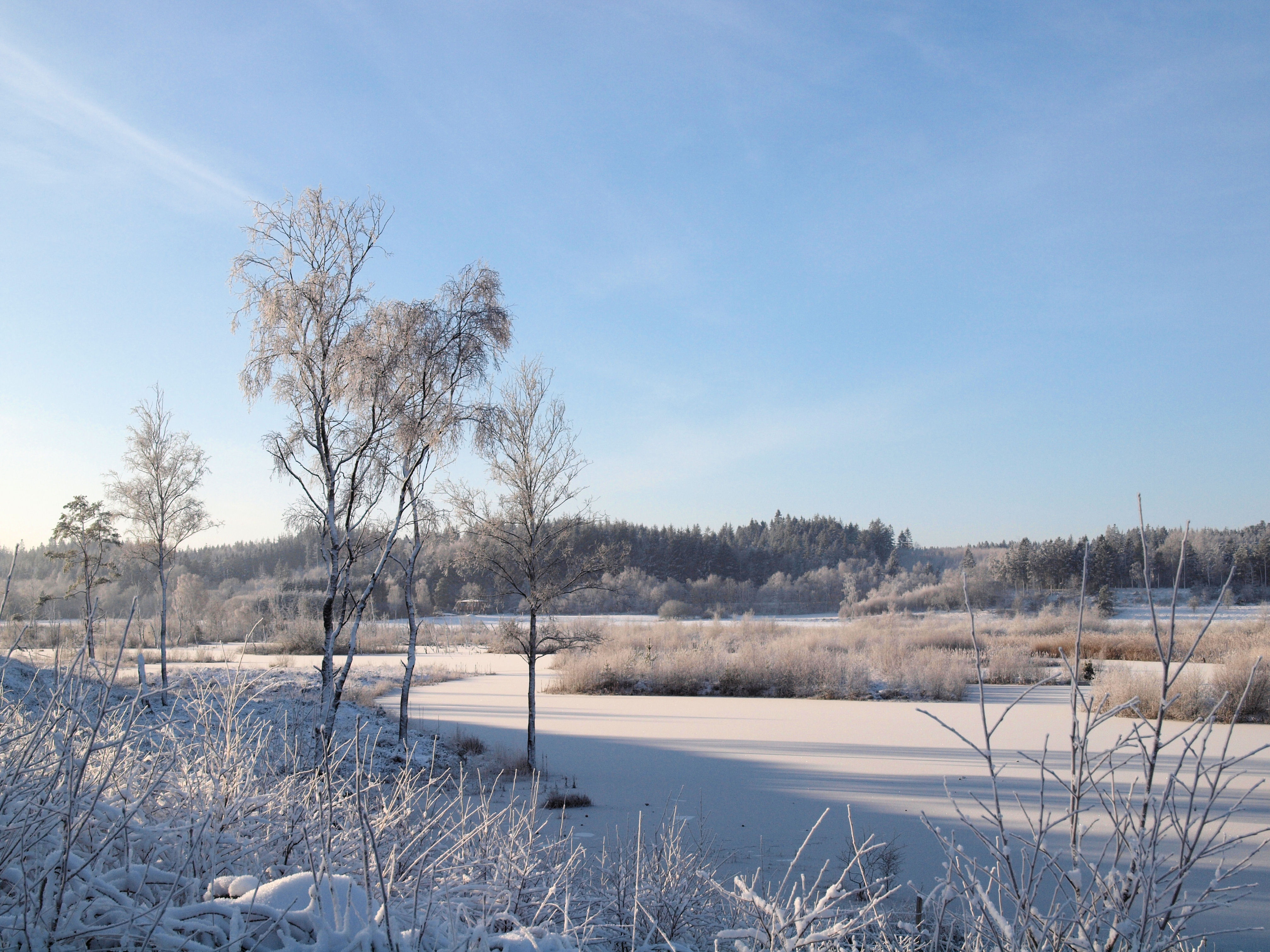 Vinter ved Bøllingsø