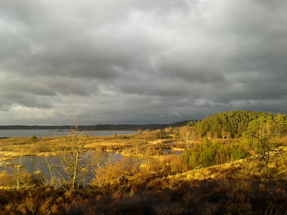 Vinter ved Bøllingsø
